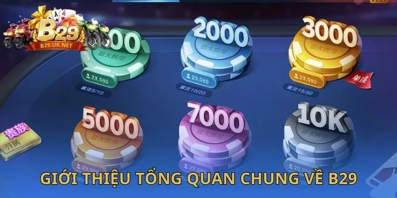 gioi-thieu-tong-quan-chung-ve-b29