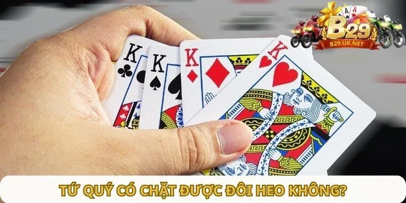 tu-quy-co-chat-duoc-doi-heo-khong